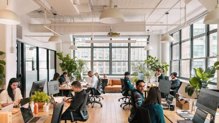 employees working side by side in front of their desktops